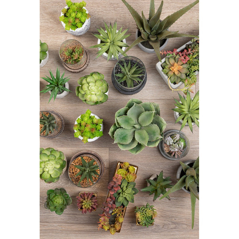 Product photograph of Olivia S Freda Planter Succulent Set Of 3 In Geo Cement Pots from Olivia's.