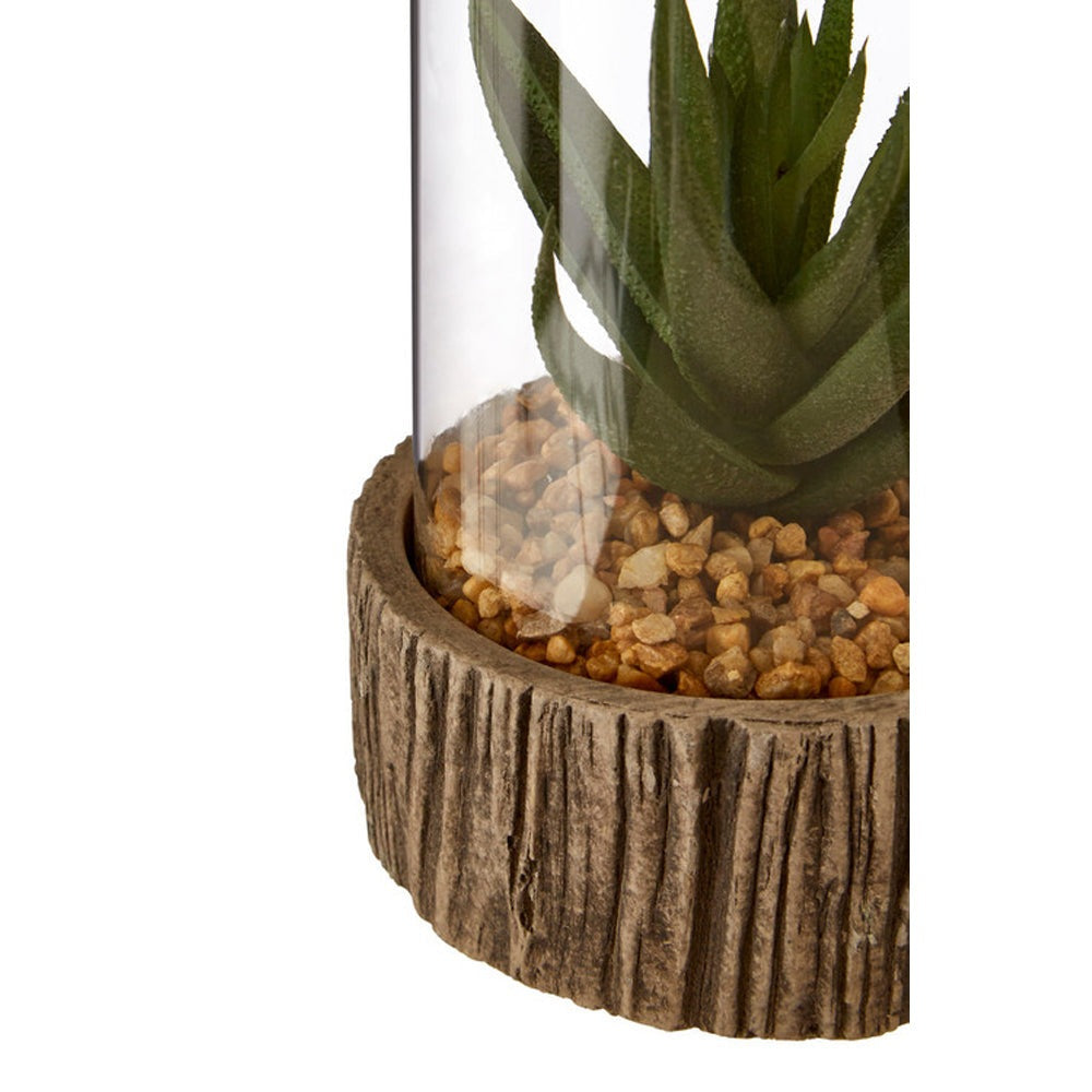 Product photograph of Olivia S Small Succulent With Natural Stone Base from Olivia's.