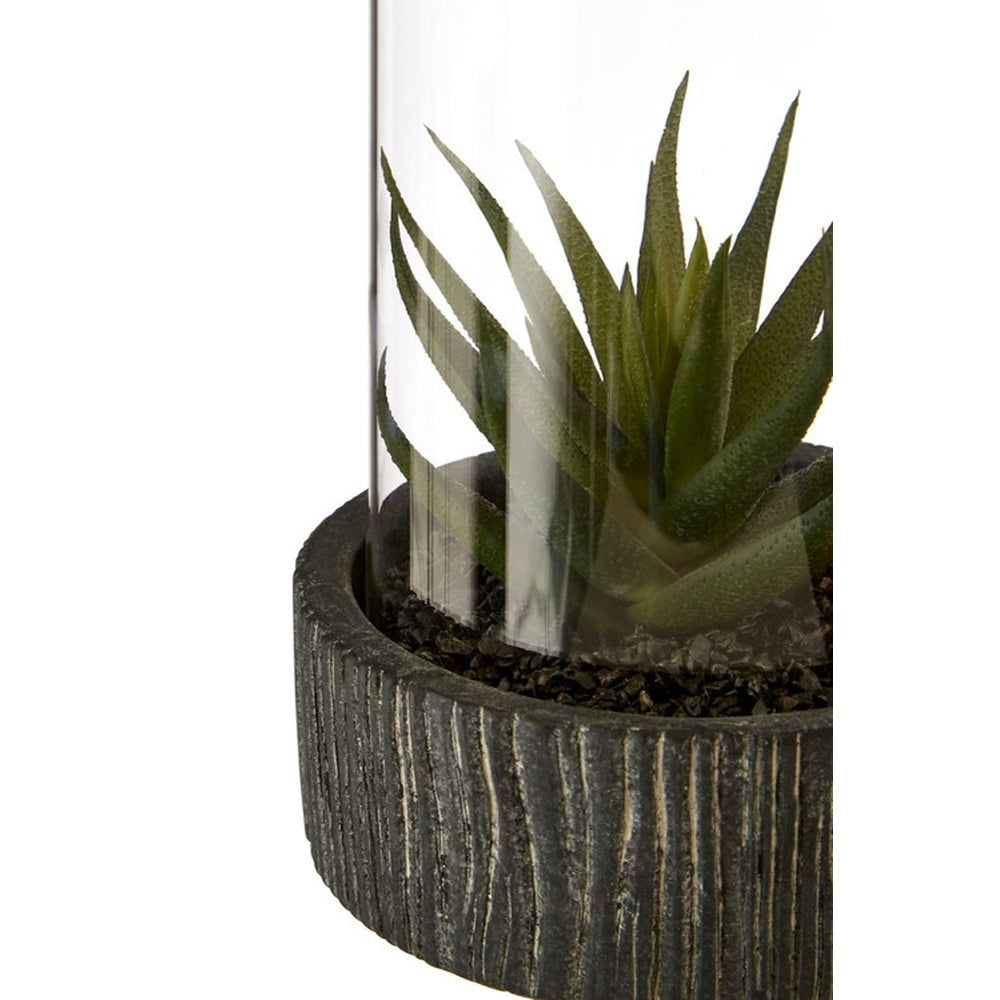 Product photograph of Olivia S Large Succulent With Black Stone Base from Olivia's.