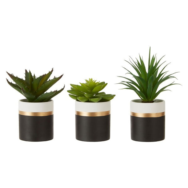 Product photograph of Olivia S Freda Planter Succulent Pot Black Black from Olivia's.