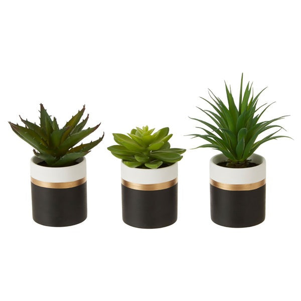 Product photograph of Olivia S Freda Planter Succulent Pot Black Black from Olivia's