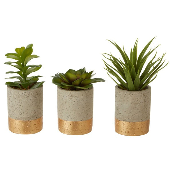 Product photograph of Olivia S Freda Planter Succulent Pot Grey Grey from Olivia's