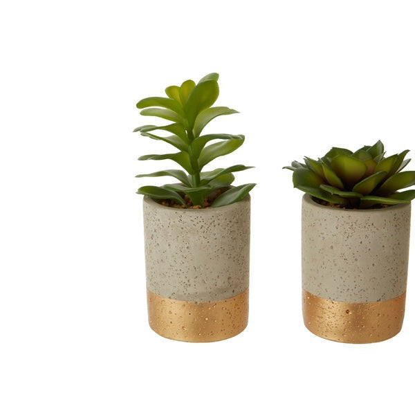 Product photograph of Olivia S Freda Planter Succulent Pot Grey Grey from Olivia's.