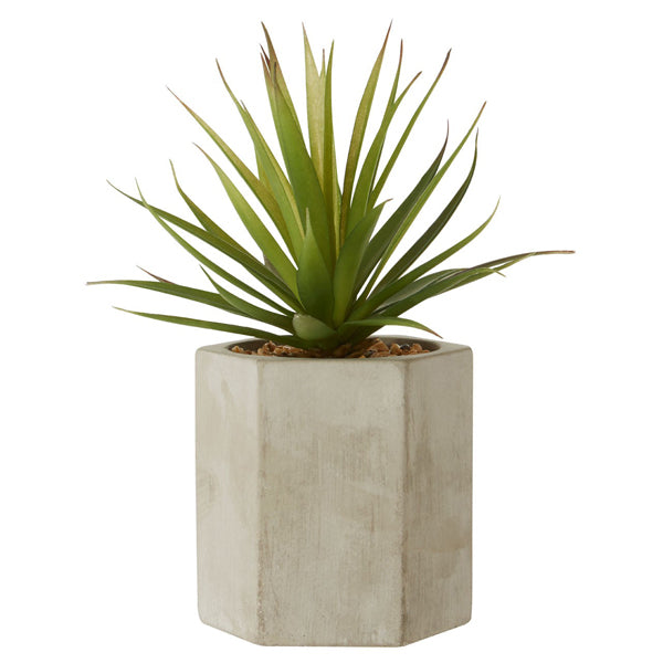 Product photograph of Olivia S Freda Planter Sword Grass from Olivia's.
