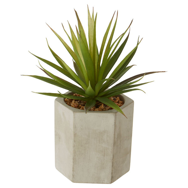 Product photograph of Olivia S Freda Planter Sword Grass from Olivia's