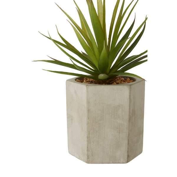 Product photograph of Olivia S Freda Planter Sword Grass from Olivia's.