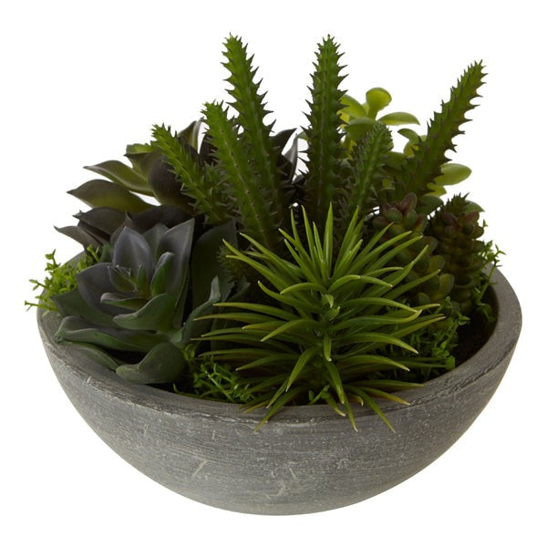 Product photograph of Olivia S Freda Planter Succulent Paper Stone Effect Pot Mixed from Olivia's