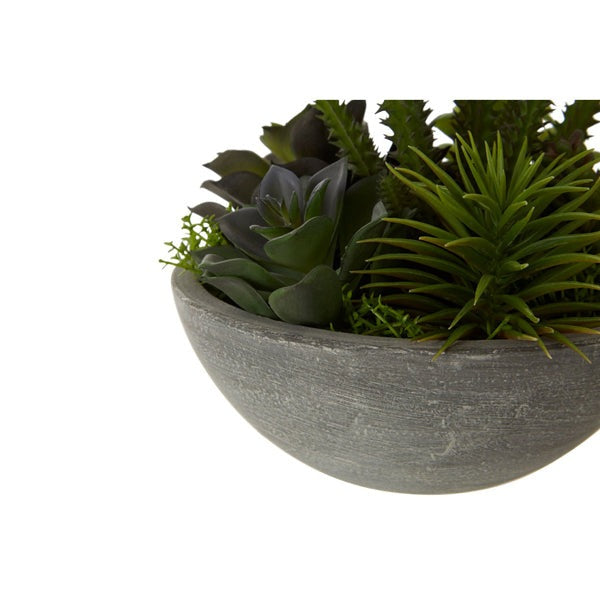 Product photograph of Olivia S Freda Planter Succulent Paper Stone Effect Pot Mixed from Olivia's.