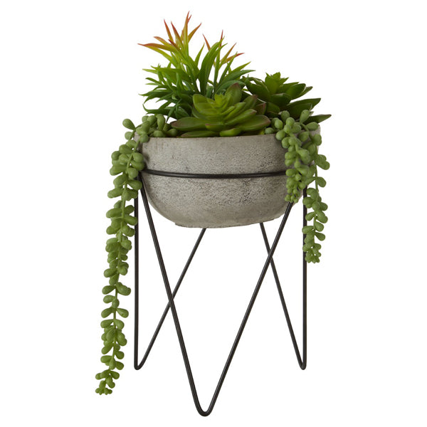 Product photograph of Olivia S Freda Planter Succulent Mixed With Metal Stand from Olivia's.