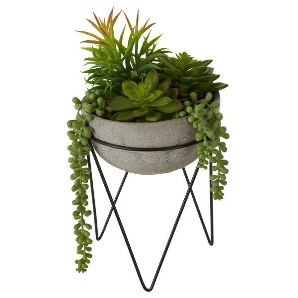 Product photograph of Olivia S Freda Planter Succulent Mixed With Metal Stand from Olivia's