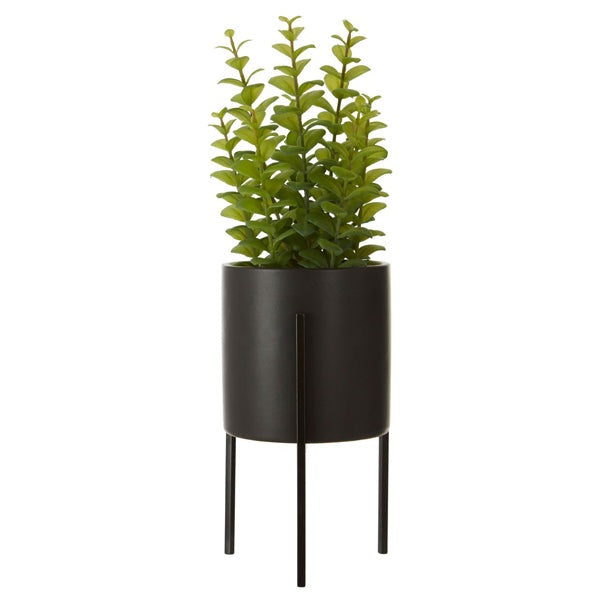 Product photograph of Olivia S Freda Planter Thyme from Olivia's.