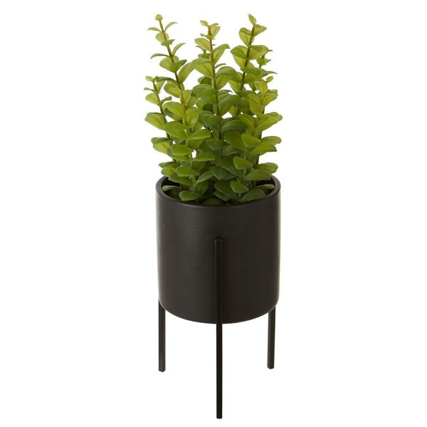 Product photograph of Olivia S Freda Planter Thyme from Olivia's