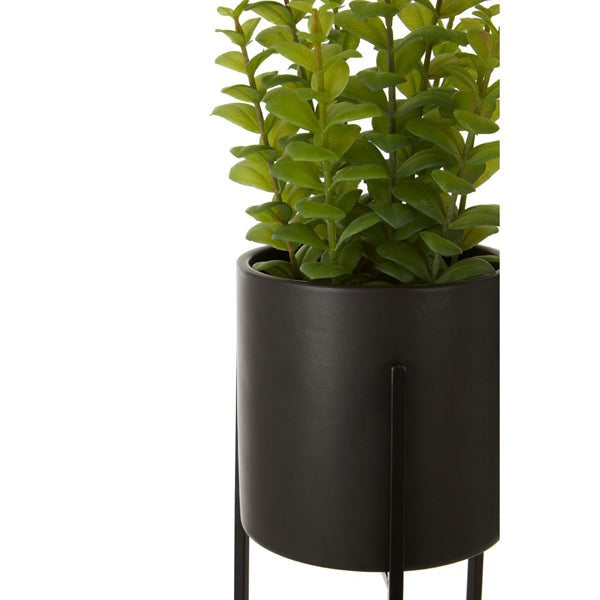 Product photograph of Olivia S Freda Planter Thyme from Olivia's.