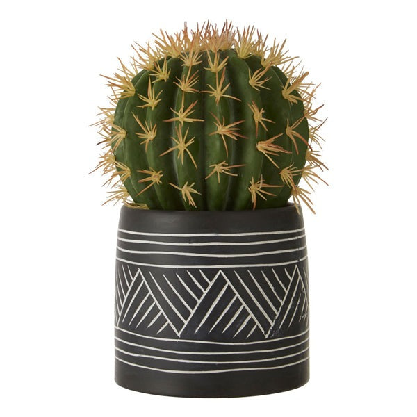 Product photograph of Olivia S Freda Planter Succulent Cactus from Olivia's.
