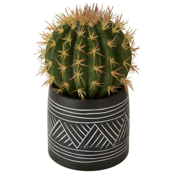 Product photograph of Olivia S Freda Planter Succulent Cactus from Olivia's