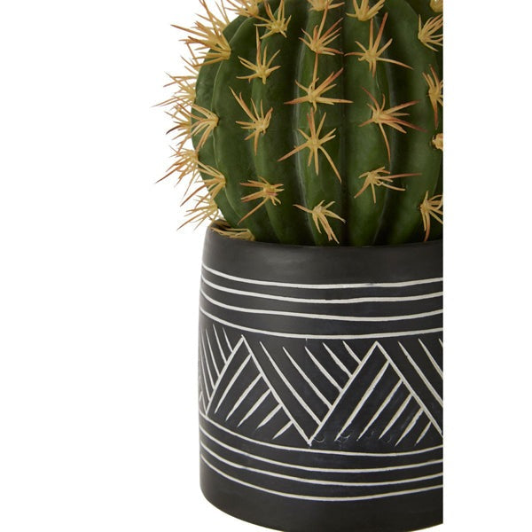Product photograph of Olivia S Freda Planter Succulent Cactus from Olivia's.