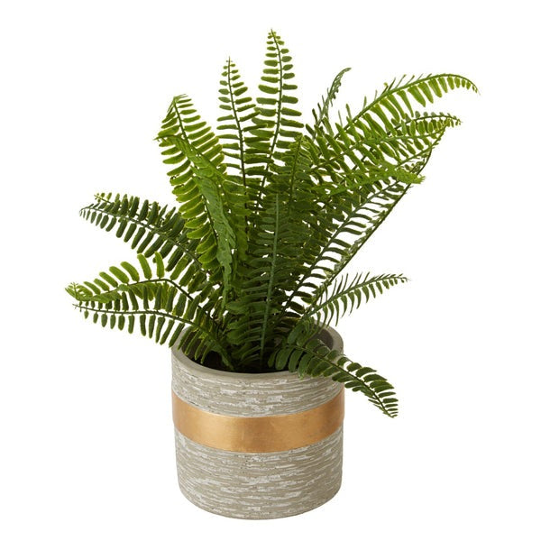 Product photograph of Olivia S Freda Planter Succulent Boston Fern from Olivia's