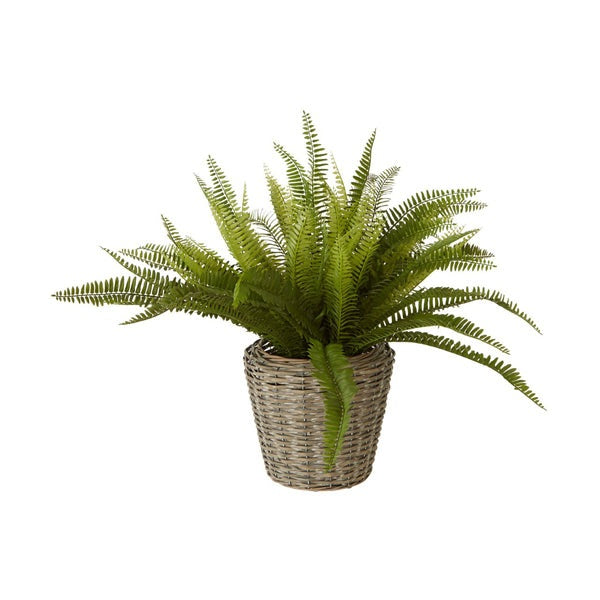 Product photograph of Olivia S Freda Planter Succulent Boston Fern Rattan from Olivia's