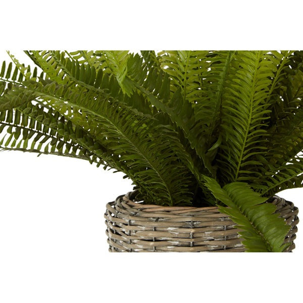 Product photograph of Olivia S Freda Planter Succulent Boston Fern Rattan from Olivia's.