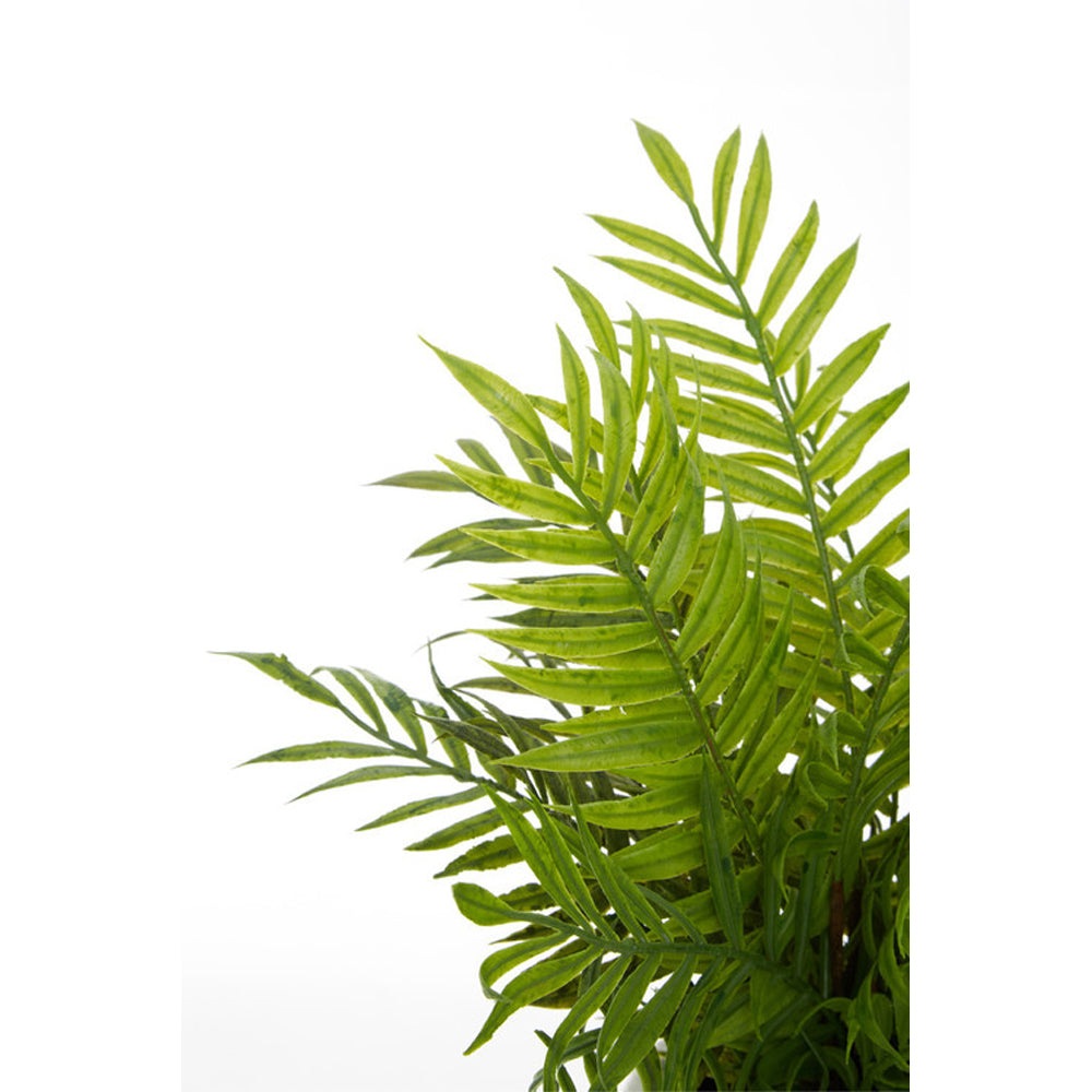 Product photograph of Olivia S Fern In Ceramic Face Pot from Olivia's.