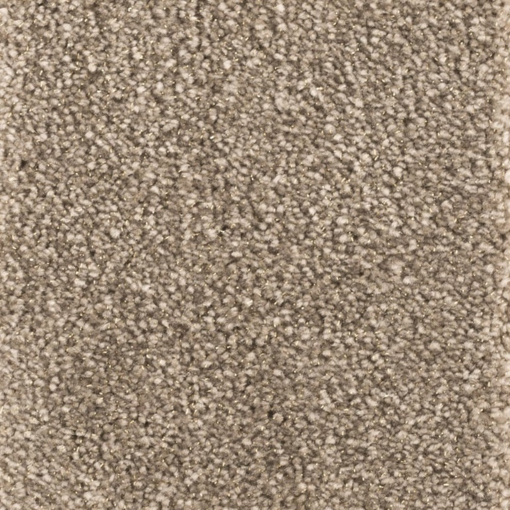 Product photograph of Richmond Carpet In Scollo Small from Olivia's.