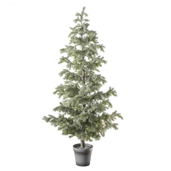 Product photograph of Gallery Interiors Christmas Elverum Snowy Pine Tree from Olivia's.