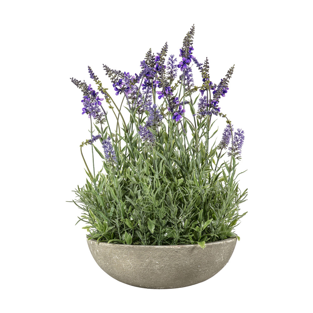 Gallery Interiors Large Potted Lavender Bowl In Green