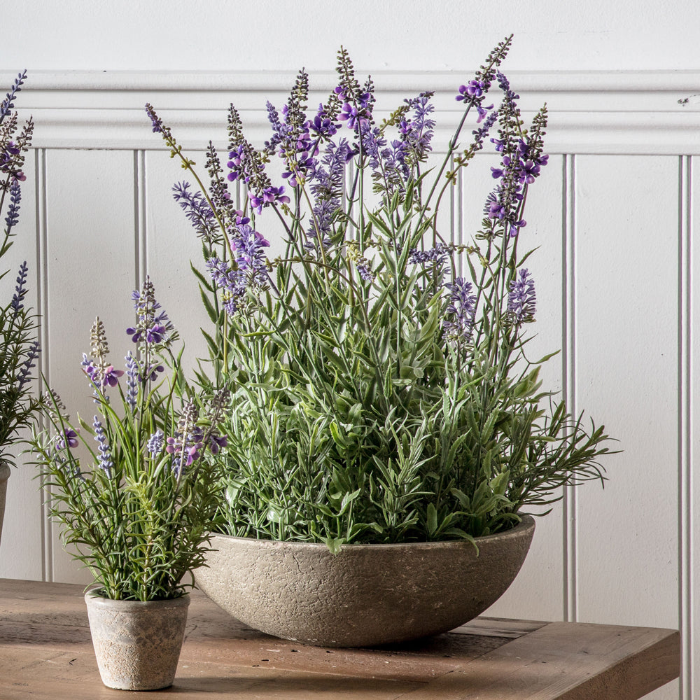 Product photograph of Gallery Interiors Large Potted Lavender Bowl In Green from Olivia's.