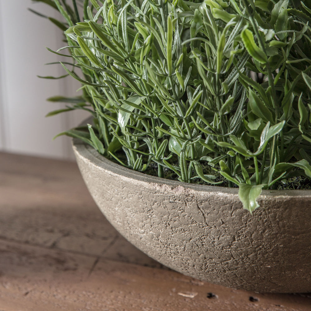 Product photograph of Gallery Interiors Large Potted Lavender Bowl In Green from Olivia's.
