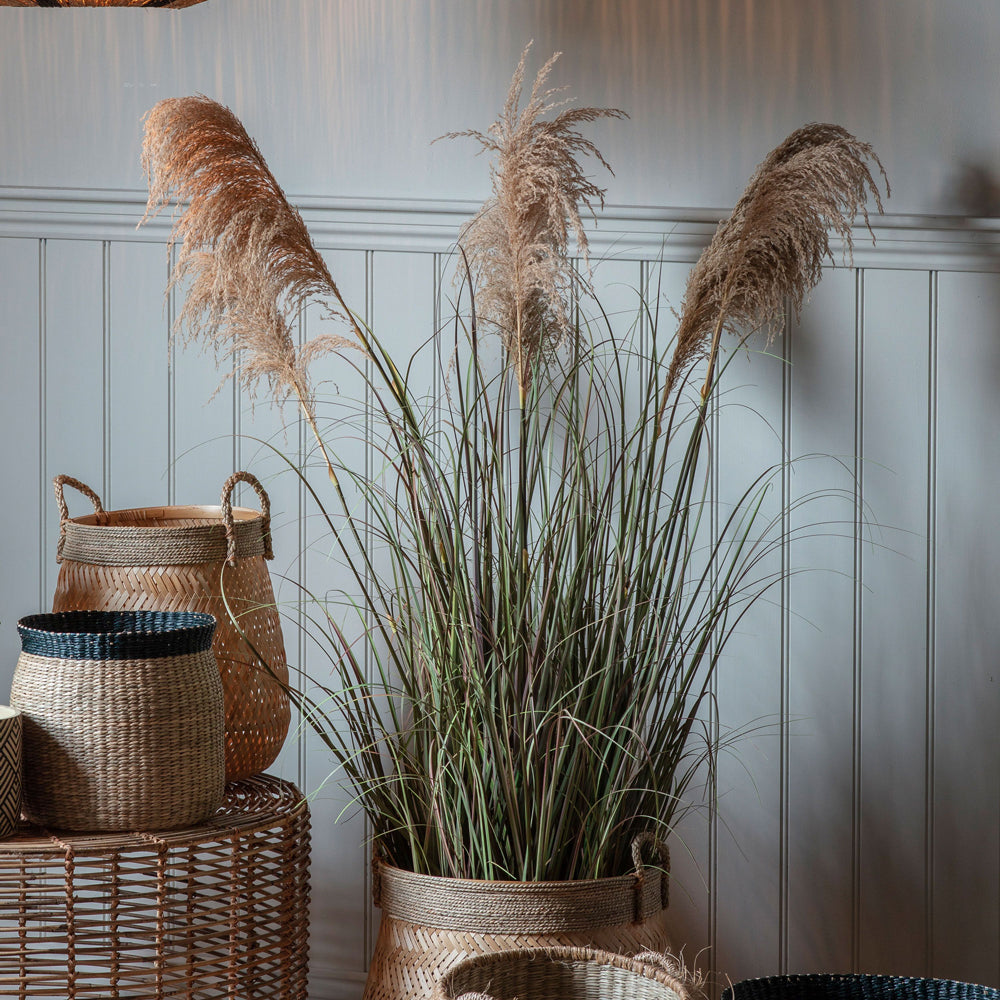 Product photograph of Gallery Interiors Pampas Grass With 5 Heads from Olivia's.