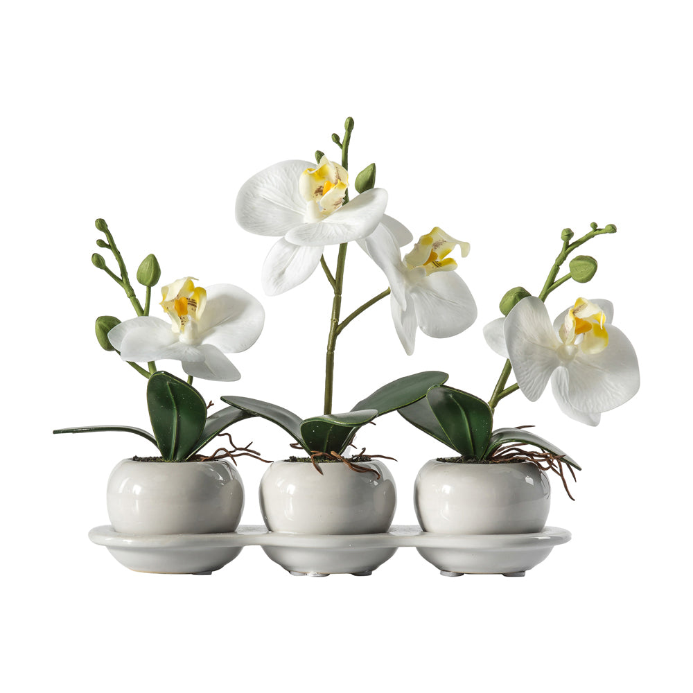 Product photograph of Gallery Interiors Orchid Trio With Ceramic Tray In Green from Olivia's
