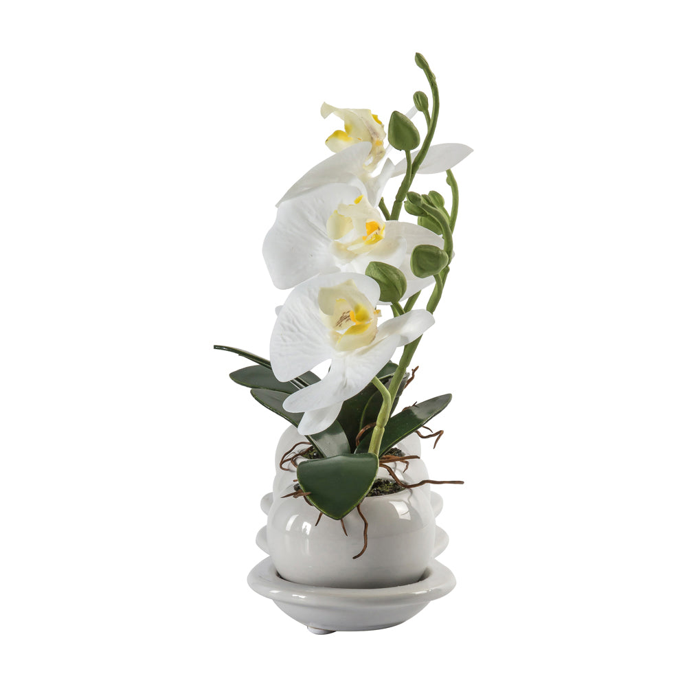 Product photograph of Gallery Interiors Orchid Trio With Ceramic Tray In Green from Olivia's.