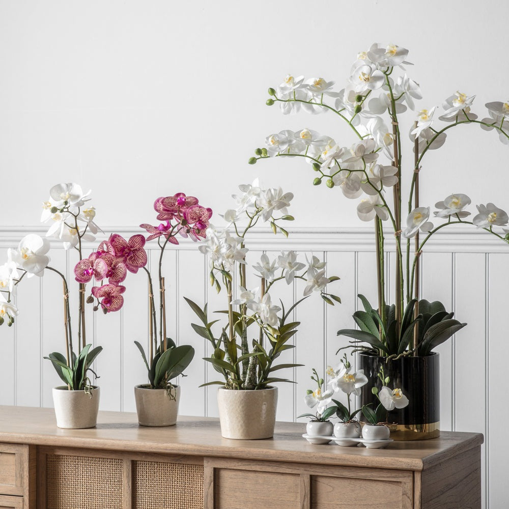Product photograph of Gallery Interiors Orchid White With Black Gold Pot from Olivia's.