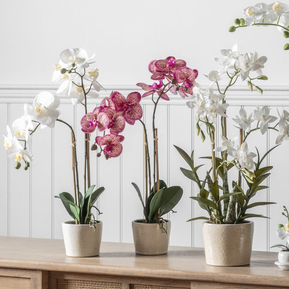 Product photograph of Gallery Interiors Orchid With Ceramic Pot In Pink from Olivia's.