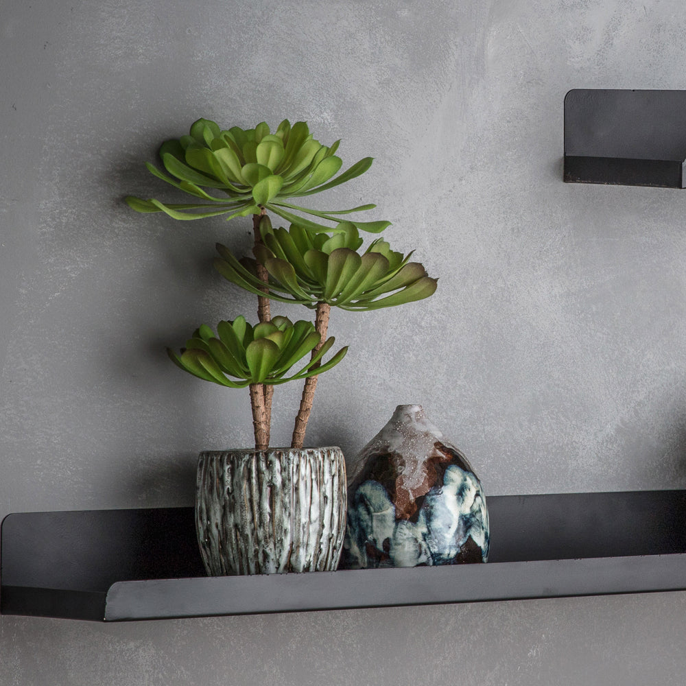 Product photograph of Gallery Interiors Echeveria Plant With Rustic Cement Pot In Green from Olivia's.
