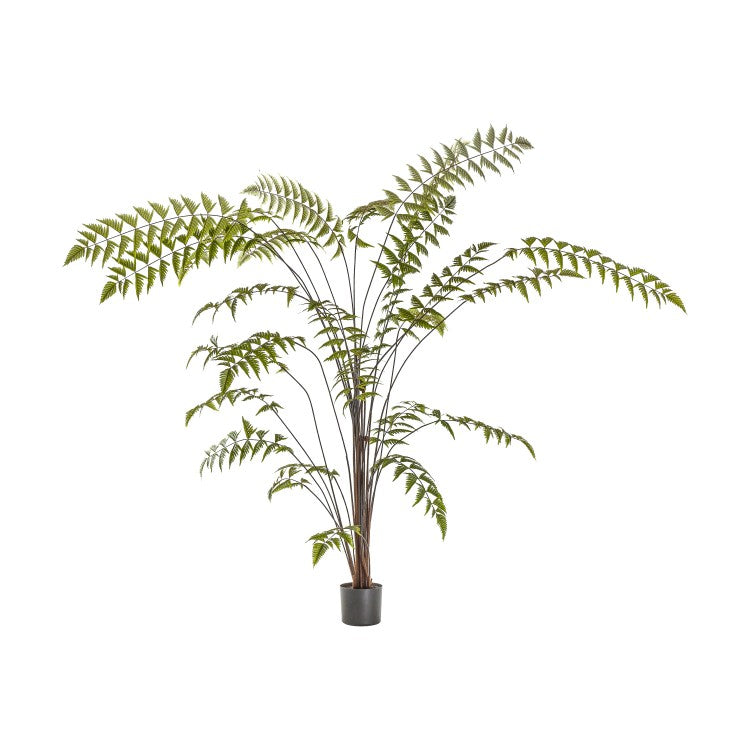 Product photograph of Gallery Interiors Butterfly Fern Green from Olivia's