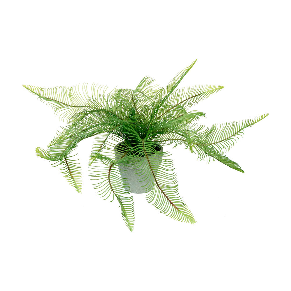 Product photograph of Gallery Interiors Potted Fern Feather from Olivia's