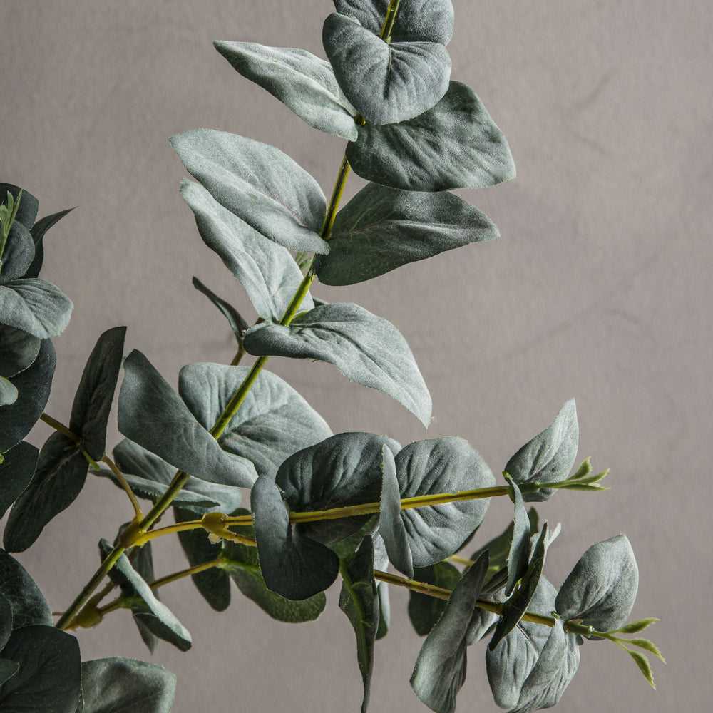Product photograph of Gallery Interiors Eucalyptus Leaves In Green from Olivia's.
