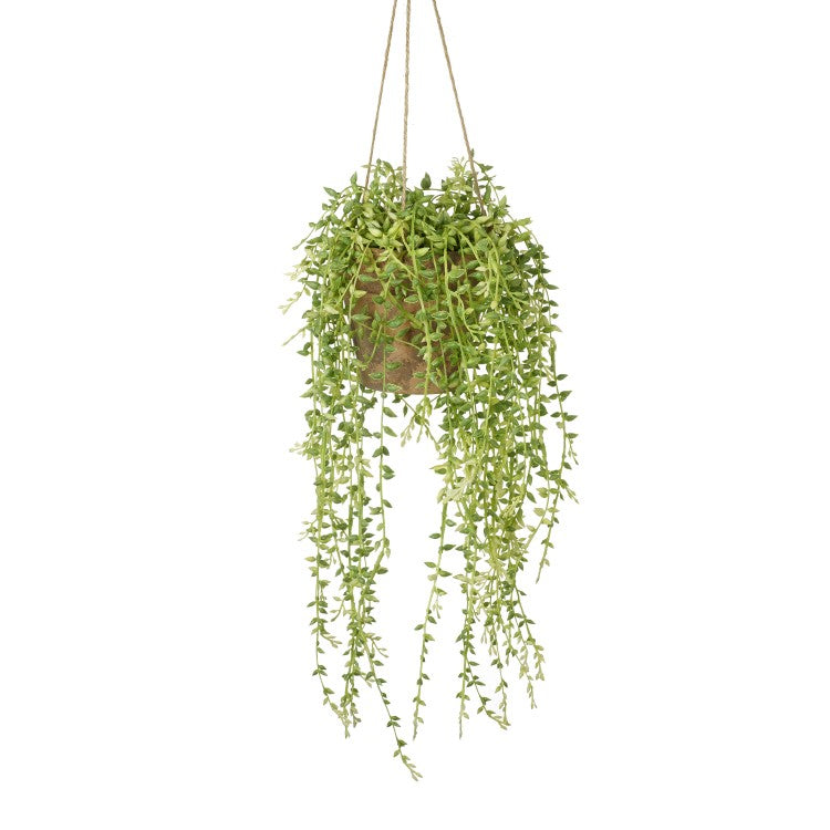 Product photograph of Gallery Interiors Hanging Senecio With Earthenware Style Pot from Olivia's