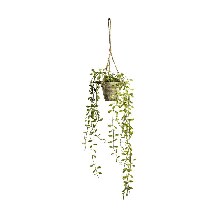 Product photograph of Gallery Interiors Hanging Boxwood With Rustic Pot from Olivia's