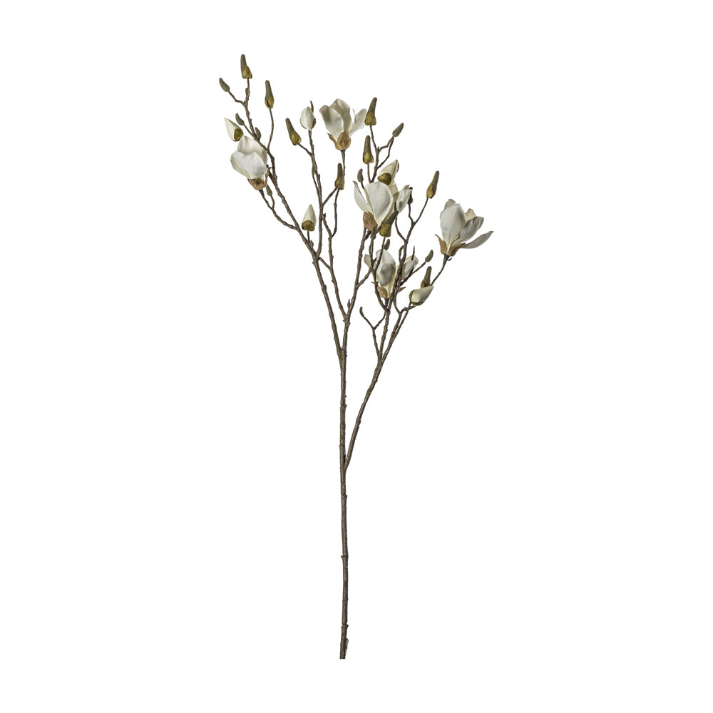 Product photograph of Gallery Interiors 11 Bloom Magnolia Spray In White from Olivia's