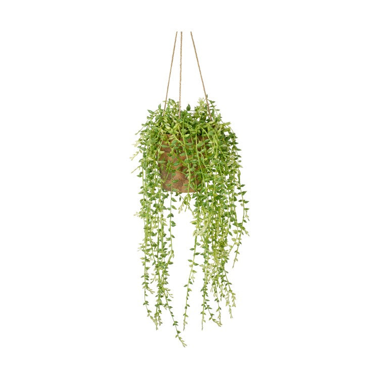 Product photograph of Gallery Interiors Hanging Senecio With Cement Pot from Olivia's