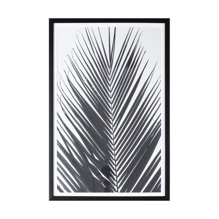 Product photograph of Gallery Interiors Palm Framed Wall Art In Monochrome from Olivia's