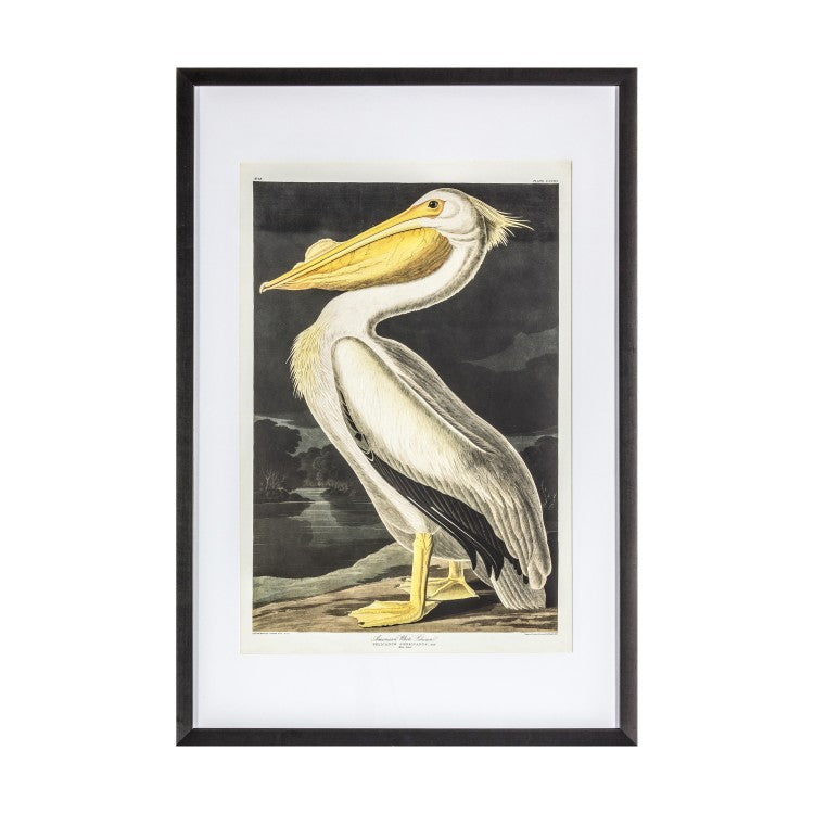 Product photograph of Gallery Interiors Inquisitive Pelican Framed Wall Art from Olivia's