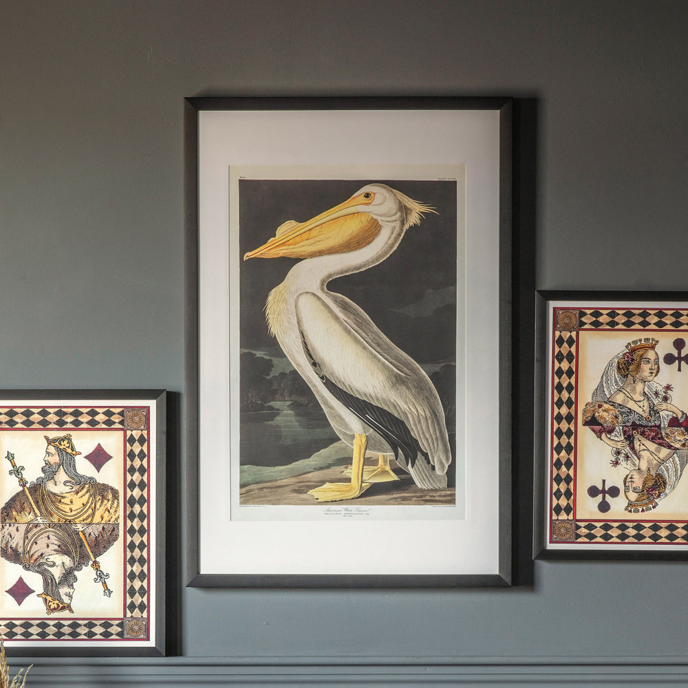 Product photograph of Gallery Interiors Inquisitive Pelican Framed Wall Art from Olivia's.