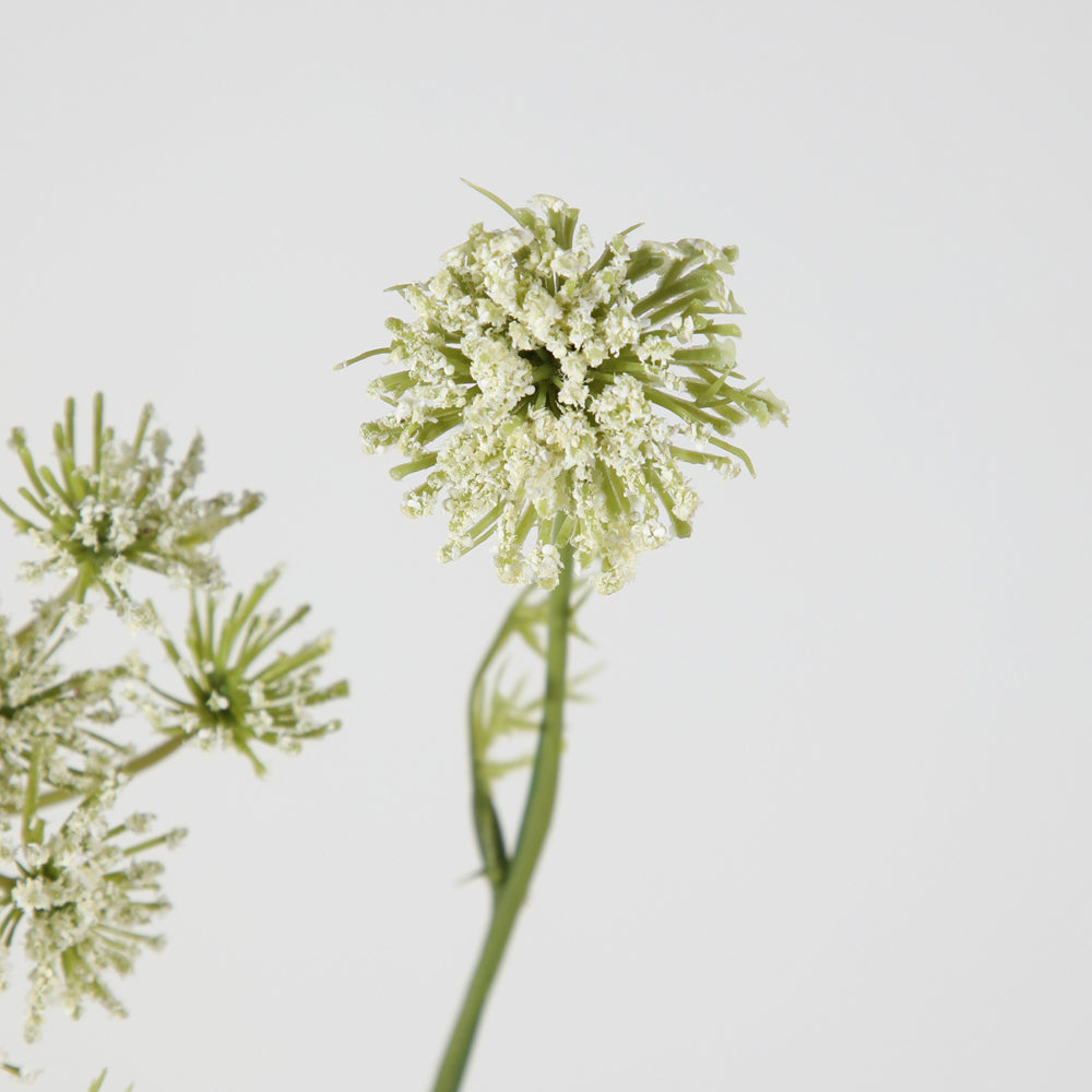 Product photograph of Gallery Interiors Set Of 12 Page Queen Annes Lace Spray White from Olivia's.
