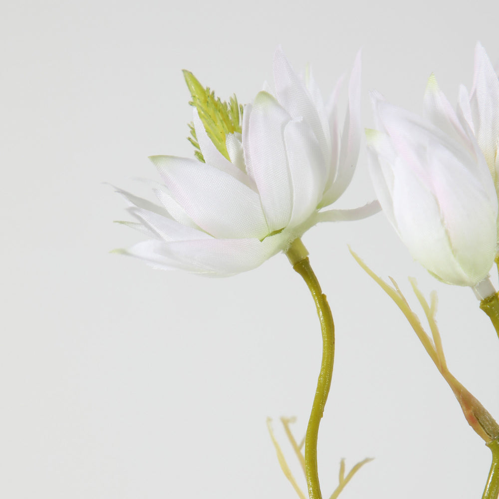 Product photograph of Gallery Interiors Set Of 12 Mizuno Blushing Bride Spray Large White from Olivia's.