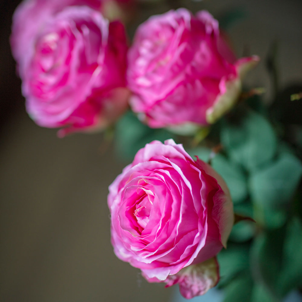 Product photograph of Gallery Interiors Aldona Rose Stem Pink Large Set Of 6 from Olivia's.