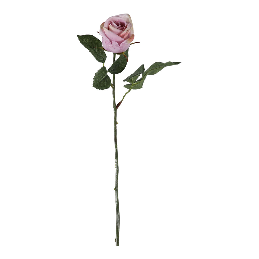 Product photograph of Gallery Interiors Aldona Rose Stem Lilac Large Set Of 6 from Olivia's.