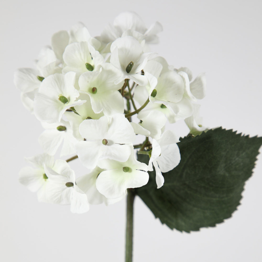 Product photograph of Gallery Interiors Spiros Hydrangea Stem White Large Set Of 6 from Olivia's.